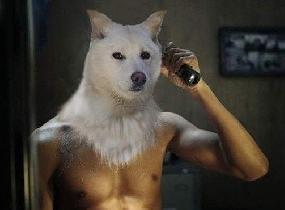 롤 강의 GM 개인 최저가 "3000원"