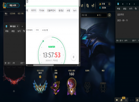 ❤️현챌 개인 친추O 업계최저O 동행 고승률O 고티어 전문❤️